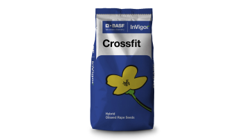 Crossfit