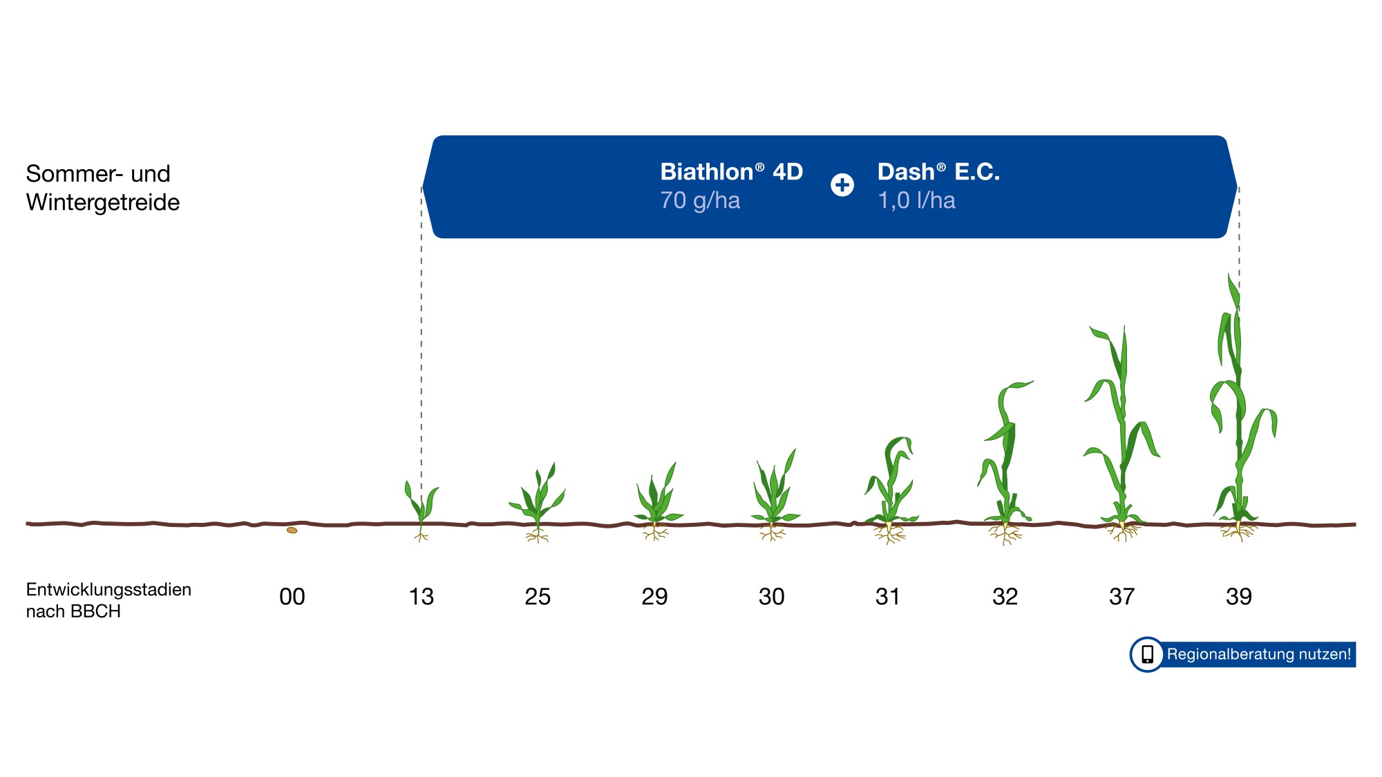 Anwendungsempfehlung des Produktes Biathlon 4D