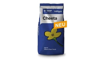 Cheeta