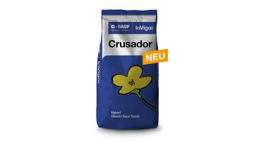 Crusador