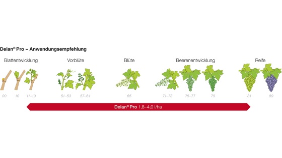 Anwendungsempfehlung Delan® Pro