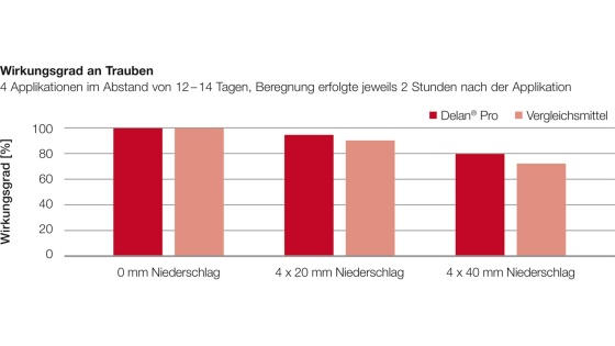 Delan® Pro Regenfestigkeit