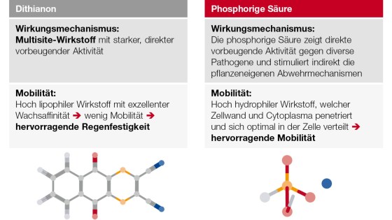 Delan® Pro Wirkungsmechanismus