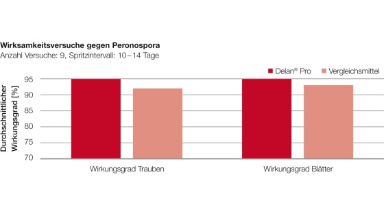 Wirksamkeit gegen Peronospora