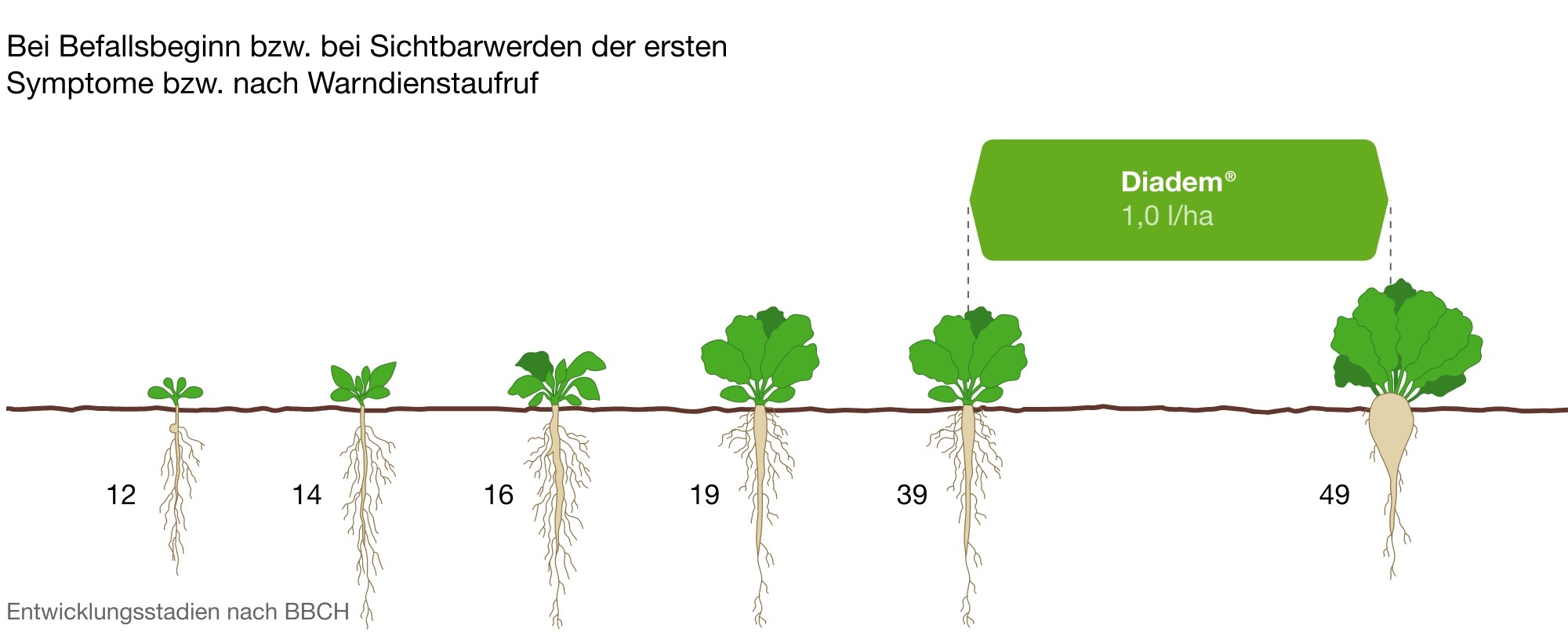 Anwendungsempfehlung des Produktes