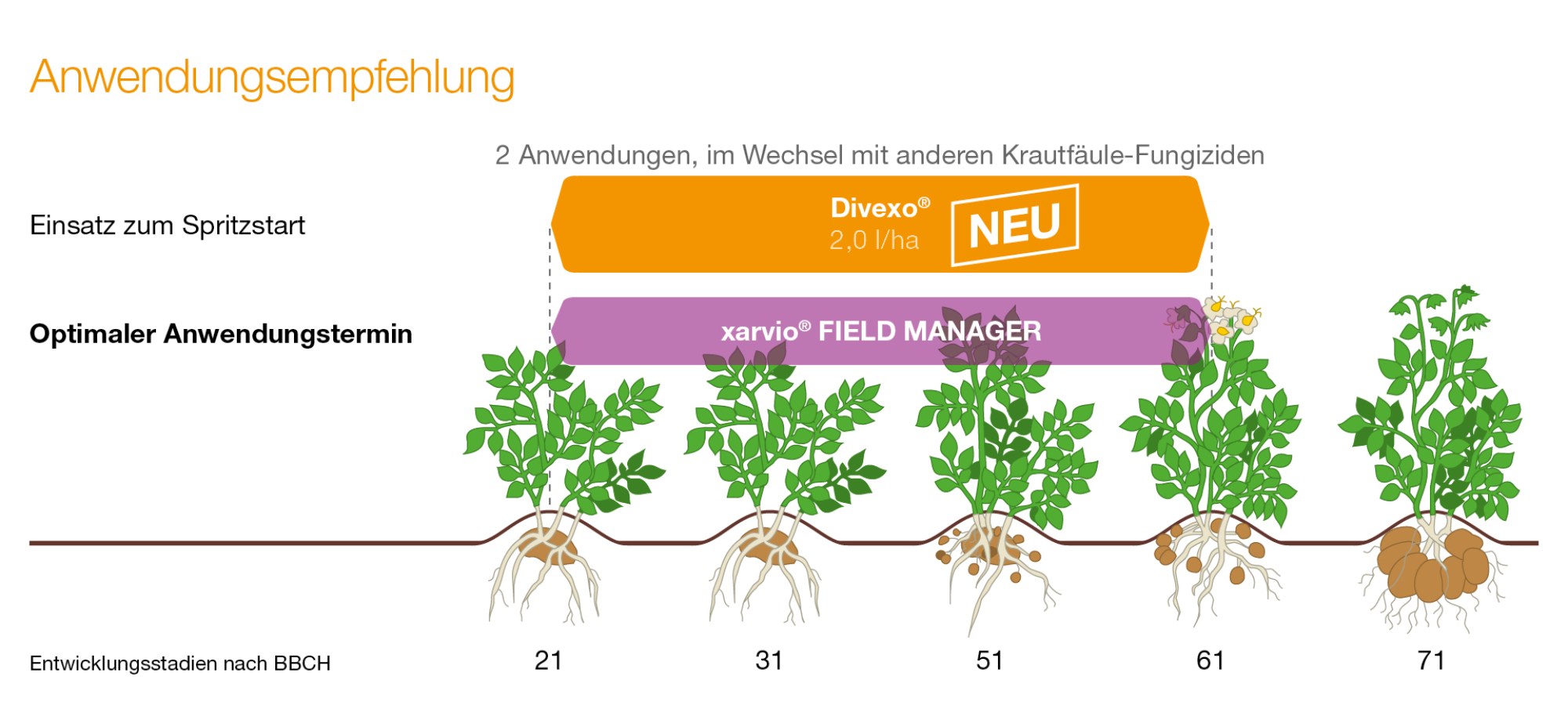 Anwendungsempfehlung Divexo in Kartoffeln