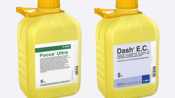 Focus® Aktiv-Pack