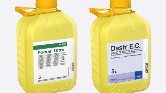 Focus® Aktiv-Pack