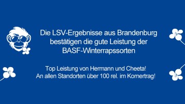 Brandenburg