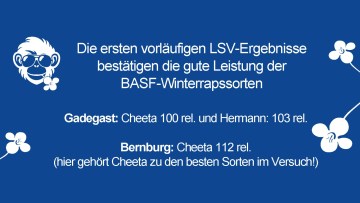 Sachsen-Anhalt