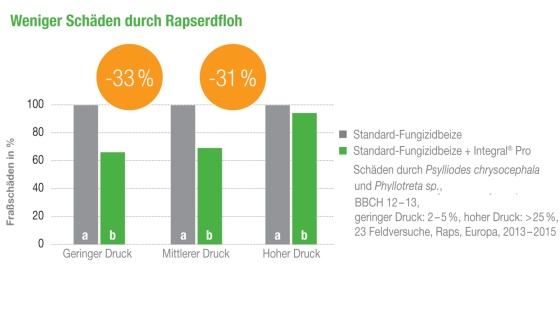 Mit Integral Pro weniger Schäden durch Rapserdfloh