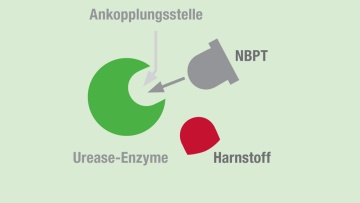 Urease-Inhibitor mit einem Wirkstoff