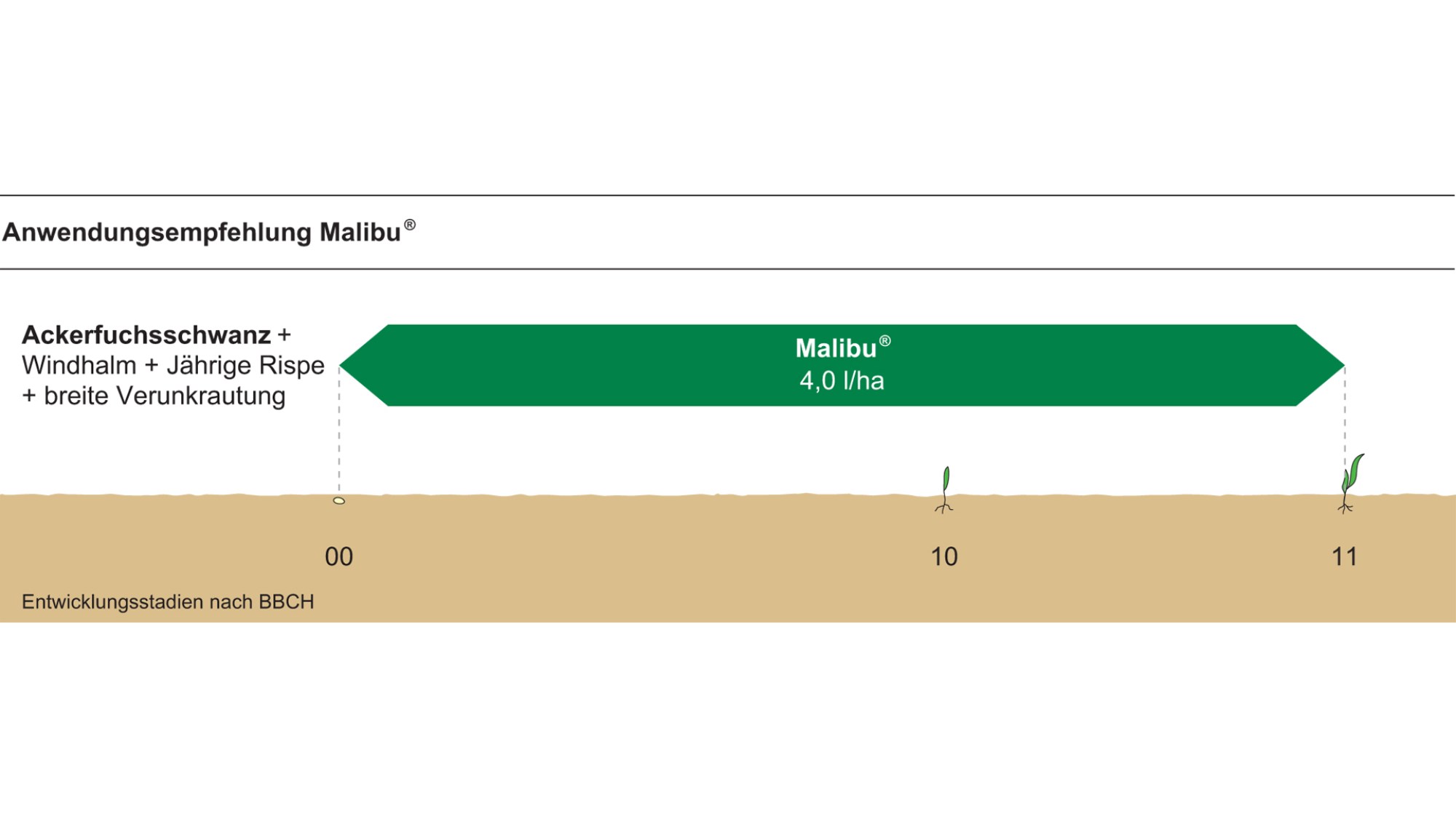 Anwendungsempfehlung des Produktes Malibu