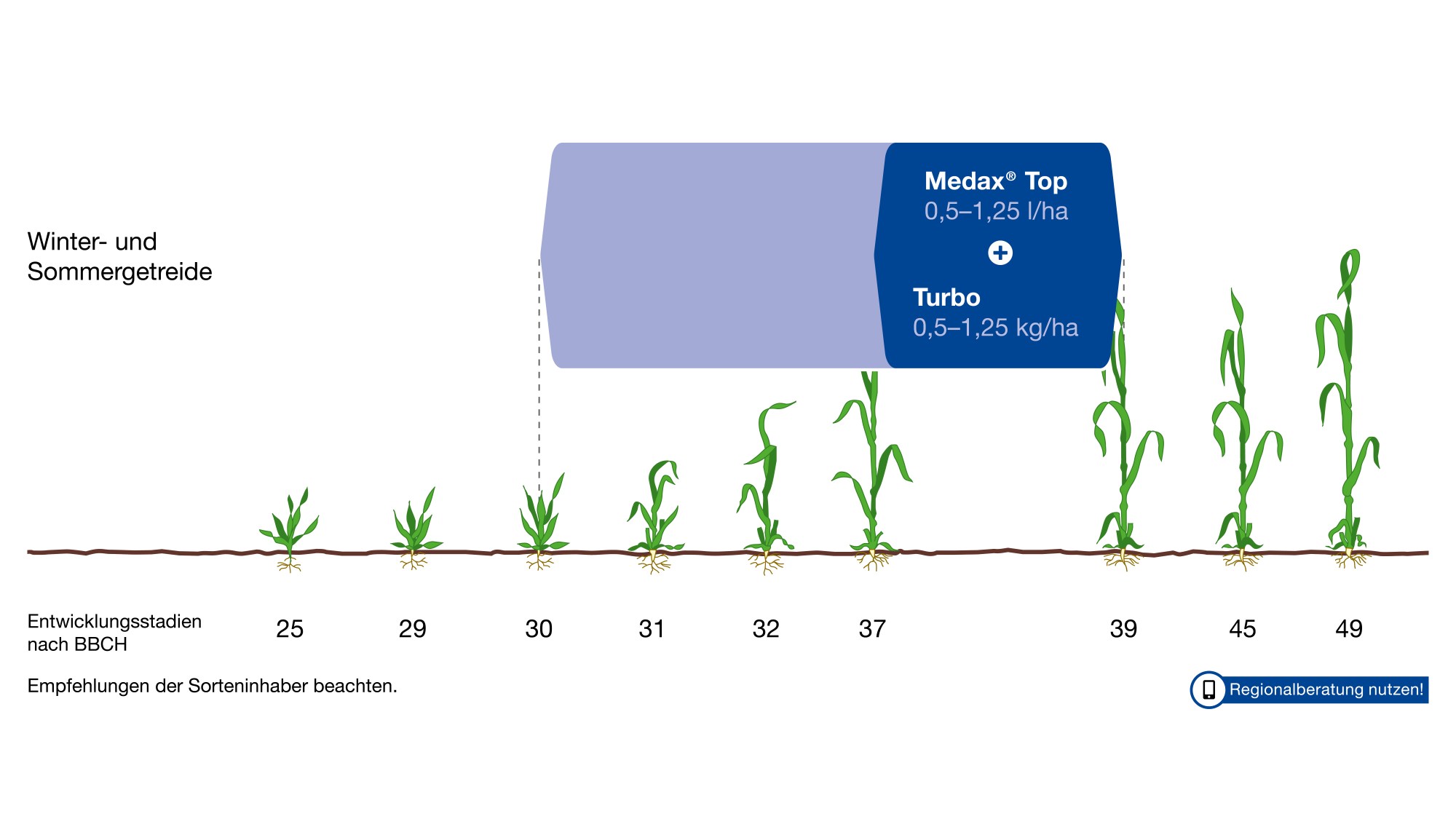Anwendungsempfehlung des Produktes Medax Top