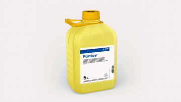 Pontos®