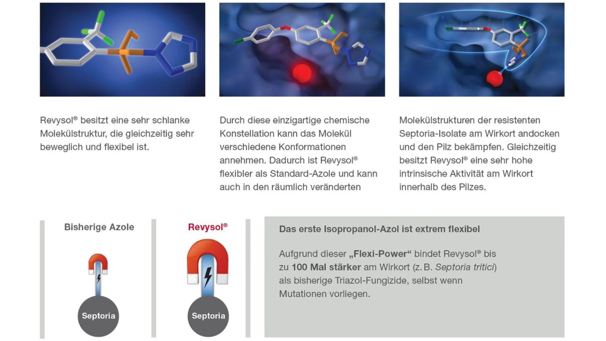 Revysol®-Molekül