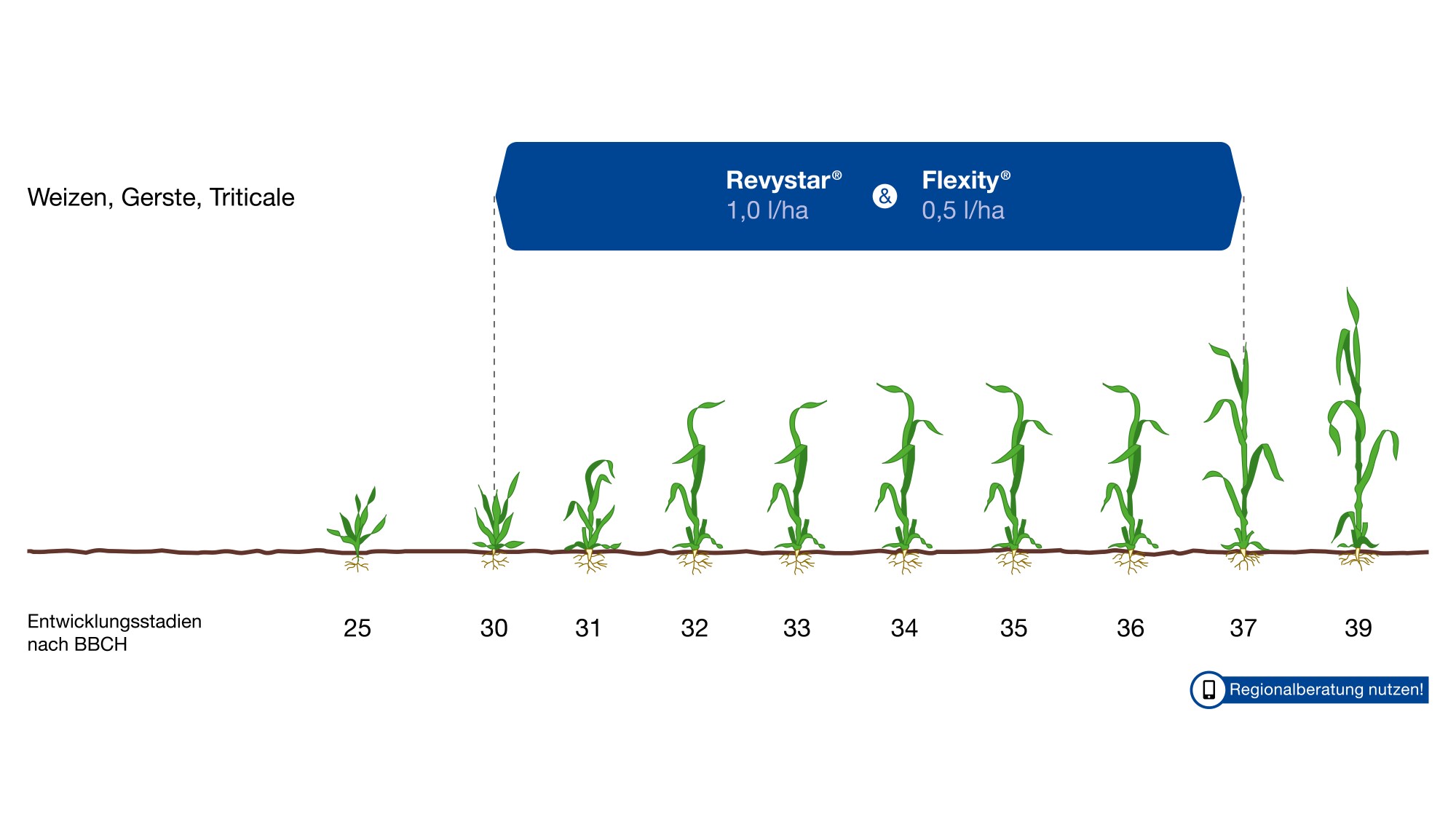 Anwendungsempfehlung des Produktes Revystar&Flexity