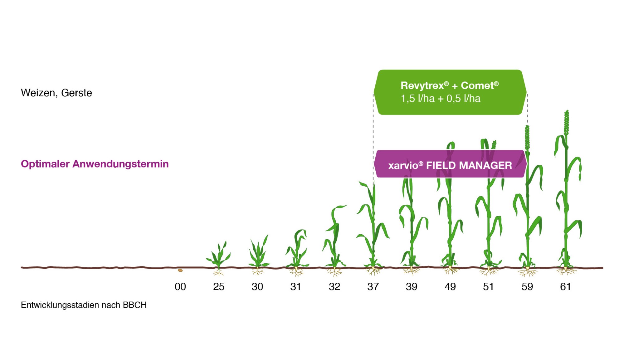Anwendungsempfehlung des Produktes Revytrex&Comet