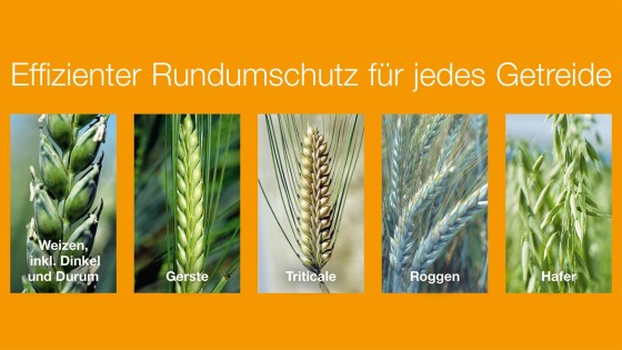 Effizienter Rundumschutz für jedes Getreide mit Rubin Plus