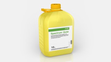Spectrum® Gold
