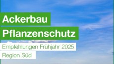 Ackerbau Pflanzenschutz Frühjahr 2025 Region Süd 