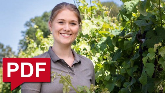 Weinbaubroschüre