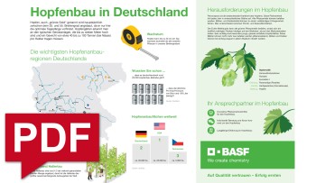 Hopfenbau Infografik 