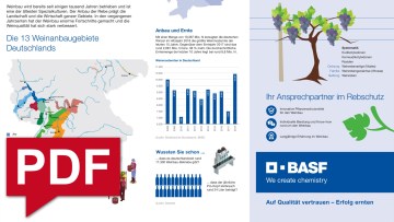 Infografik Weinbau