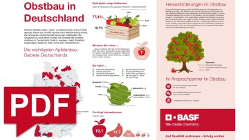 Obstbau Infografik 