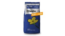 Cheeta