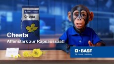Affenstark zur Rapsaussaat - mit Cheeta
