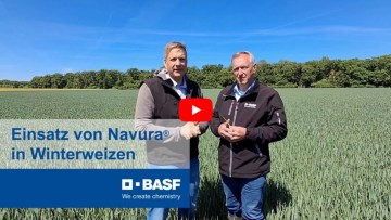 BASF Regionalberatung: Volker Garburg und Helge Sonnenberg zum Einsatz von Navura® im Winterweizen