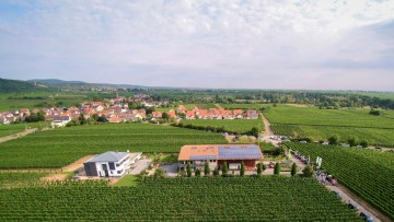 BASF-Weinbautage Forst