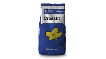 Crossfit