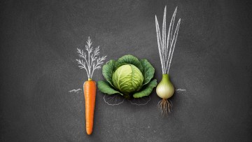 Gemüsebau Broschüre