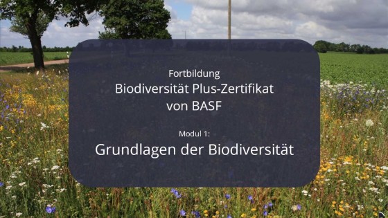 E-Learning zum Thema Biodiversität