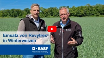 BASF Regionalberatung: Volker Garburg und Helge Sonnenberg zum Einsatz von Revytrex® im Winterweizen