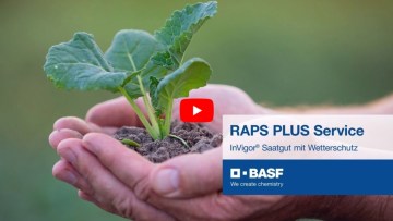 Raps Plus Service – InVigor® Saatgut mit Wetterschutz