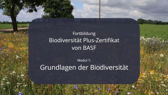 Modul 1: Grundlagen der Biodiversität