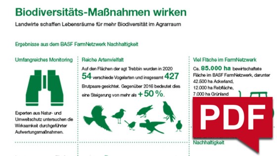 Kurz & Kompakt: Onepager FarmNetzwerk Ergebnisse 