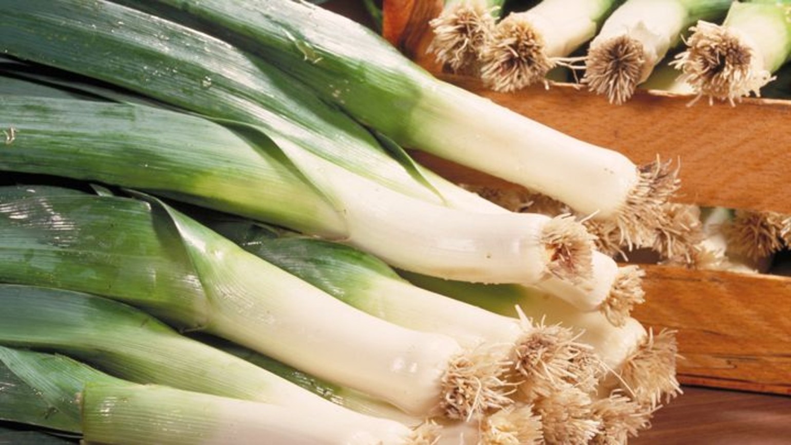 Porree Agricultural Solutions